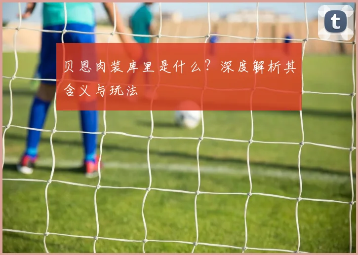 贝恩肉装库里是什么？深度解析其含义与玩法